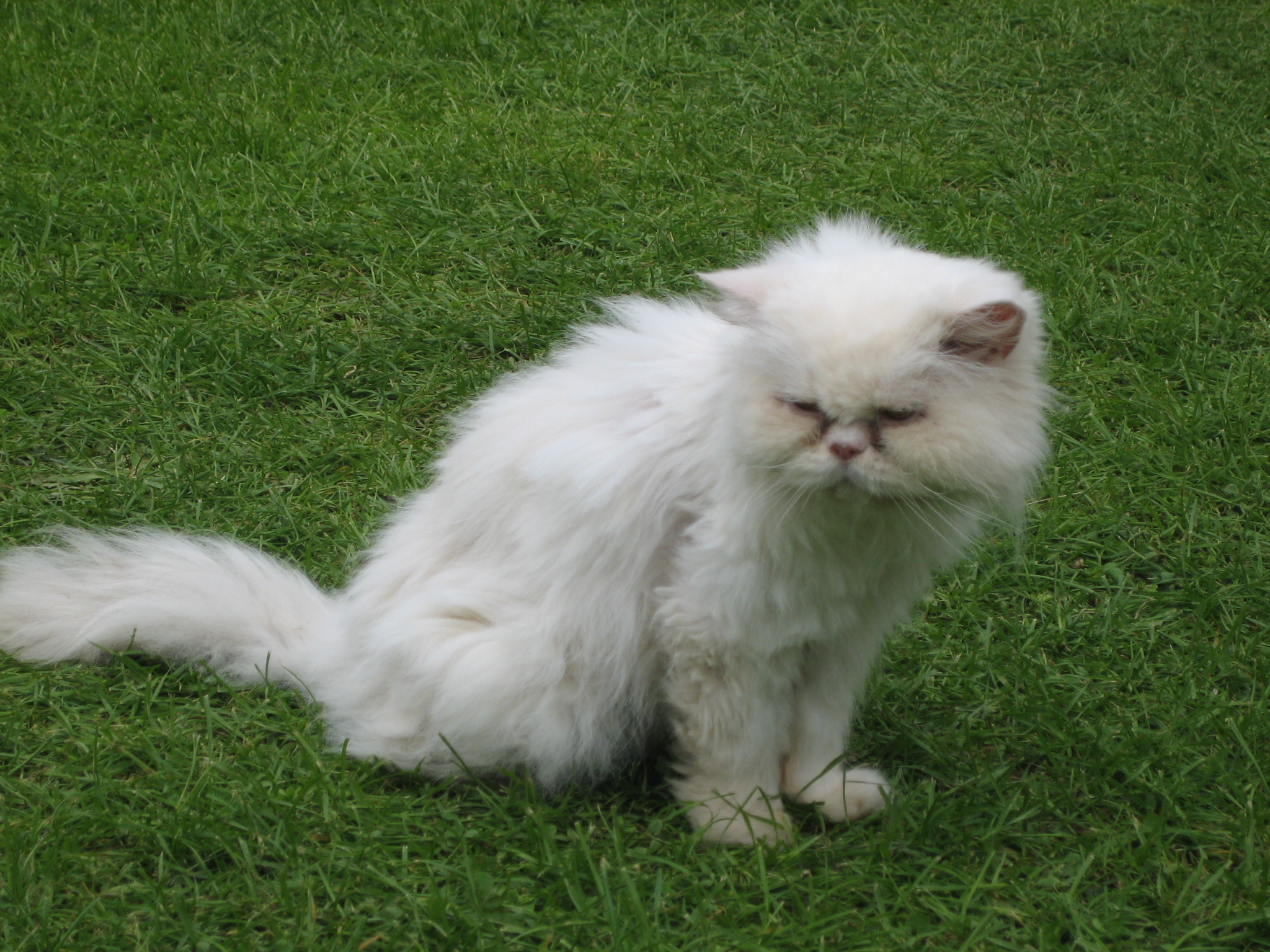 Chmelná 045.jpg